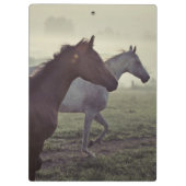Porte-bloc Chevaux sauvages (Dos)
