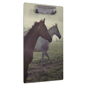 Porte-bloc Chevaux sauvages (Swatch)