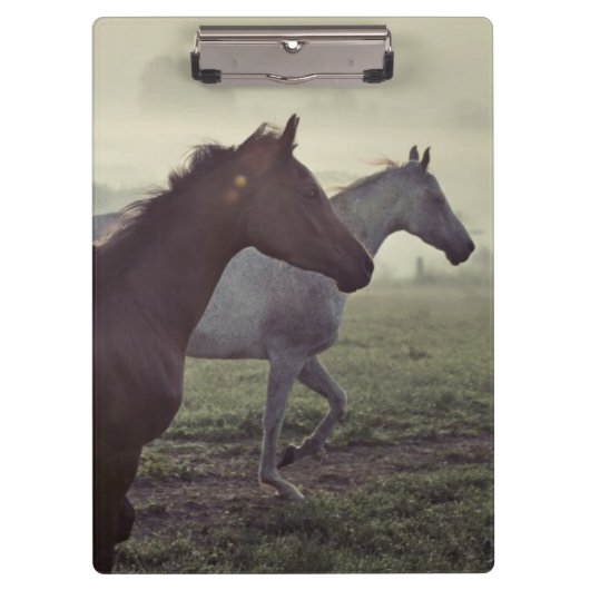 Porte-bloc Chevaux sauvages (Devant)