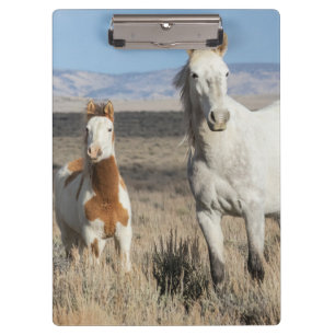 Porte-bloc Chevaux sauvages chez eux dans le bassin de Sandwa