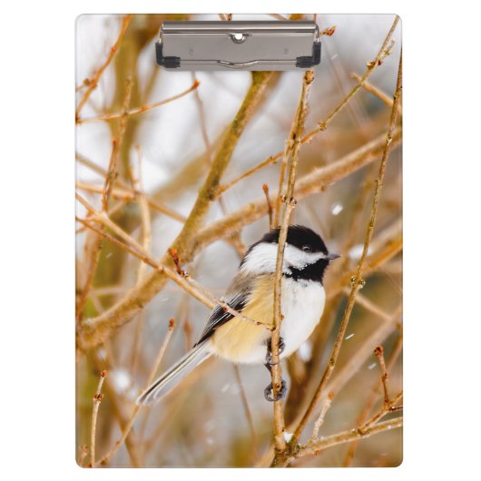 Porte-bloc Chickadee au plafond noir - Photo originale (Devant)