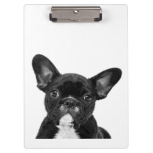 Porte-bloc Chien adorable   Black French Bulldog Face