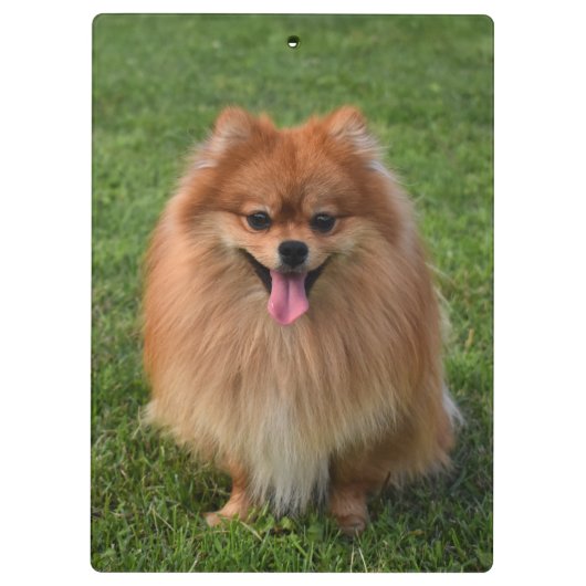 Porte-bloc Chien Chien Chien Chien Chien Chien Chien Chien Po (Dos)