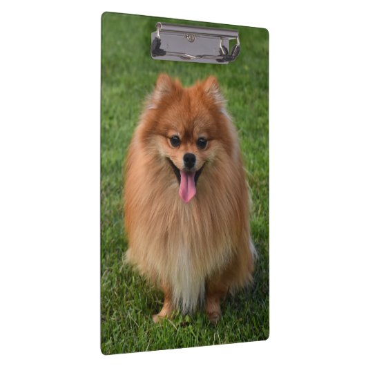 Porte-bloc Chien Chien Chien Chien Chien Chien Chien Chien Po (Swatch)