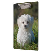 Porte-bloc Chien de chiot maltais blanc farci (Gauche)