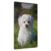 Porte-bloc Chien de chiot maltais blanc farci (Swatch)