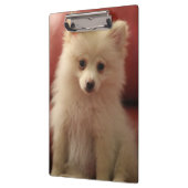 Porte-bloc Chien de Poméranie mignon (Gauche)