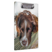 PORTE-BLOC CHIEN ESPAGNOL (Swatch)