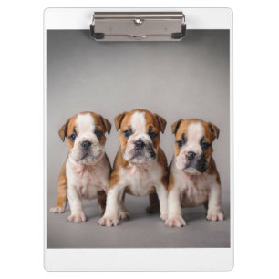 Porte-bloc Chiens de taupe mignons   Cadeau Amoureux des chie