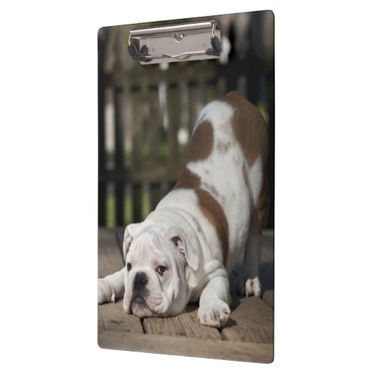 Porte-bloc Chiot anglais de bouledogue (Gauche)