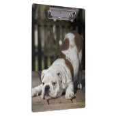 Porte-bloc Chiot anglais de bouledogue (Swatch)