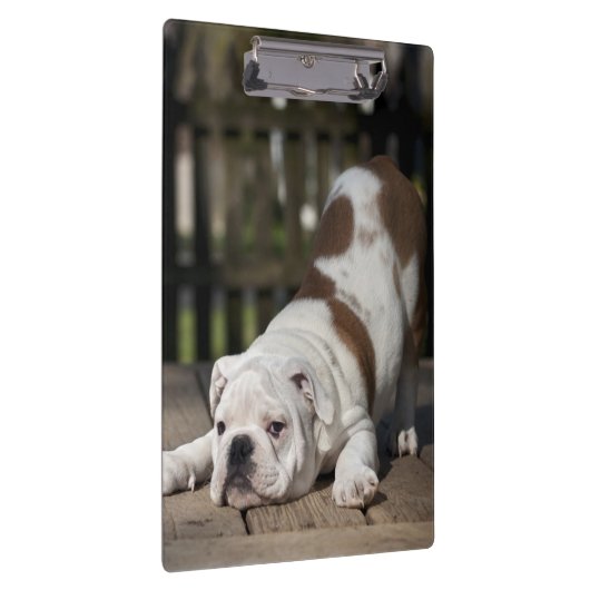 Porte-bloc Chiot anglais de bouledogue (Swatch)