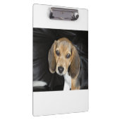 Porte-bloc Chiot beagle 2 (Swatch)
