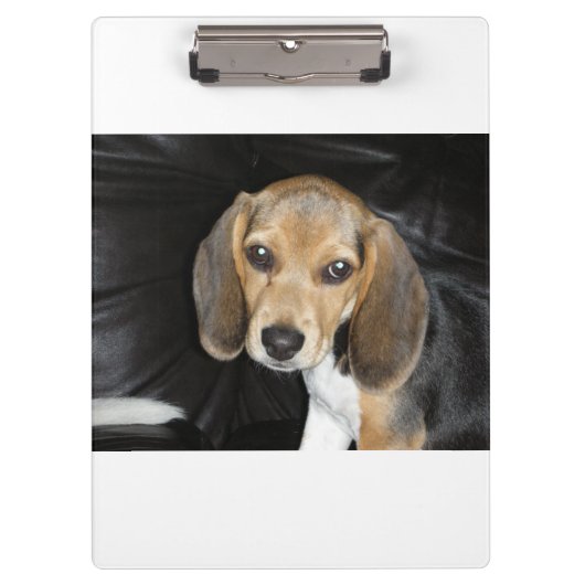 Porte-bloc Chiot beagle 2 (Devant)