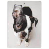 Porte-bloc Chiot d'Edison Boston Terrier (Dos)