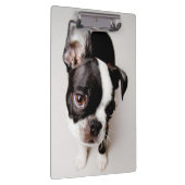 Porte-bloc Chiot d'Edison Boston Terrier (Swatch)