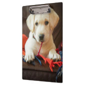 Porte-bloc Chiot des images | de Getty sur un sofa (Gauche)