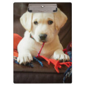 Porte-bloc Chiot des images | de Getty sur un sofa (Devant)