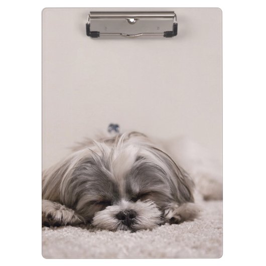 Porte-bloc Chiot endormi (Devant)