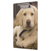 Porte-bloc chiot Labrador Retriever (Gauche)