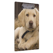 Porte-bloc chiot Labrador Retriever (Swatch)
