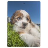 Porte-bloc Chiot mignon (Shitzu) (Dos)