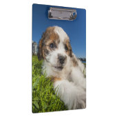 Porte-bloc Chiot mignon (Shitzu) (Swatch)