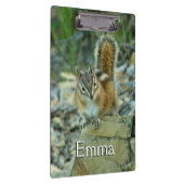 Porte-bloc Chipmunk dans le parc national des Glaciers (Swatch)
