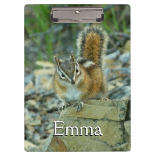 Porte-bloc Chipmunk dans le parc national des Glaciers