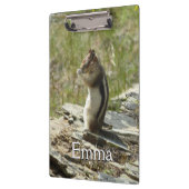 Porte-bloc Chipmunk dans le Parc national des Glaciers II (Gauche)