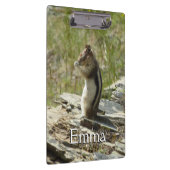 Porte-bloc Chipmunk dans le Parc national des Glaciers II (Swatch)