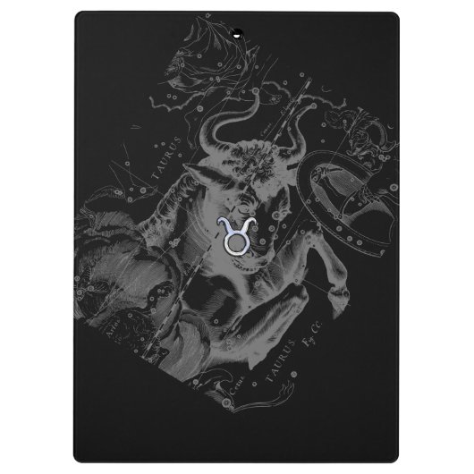 Porte-bloc Chrome comme Taurus Connexion Hevelius (Dos)