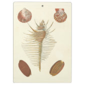 Porte-bloc Cinq d'un coquillage (Dos)