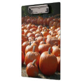 Porte-bloc Citrouille Patch Automne Harvest Photographie (Gauche)