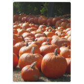 Porte-bloc Citrouille Patch Automne Harvest Photographie (Dos)