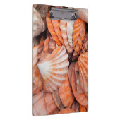 Porte-bloc Clés de Floride, Key West, coquillages (Swatch)