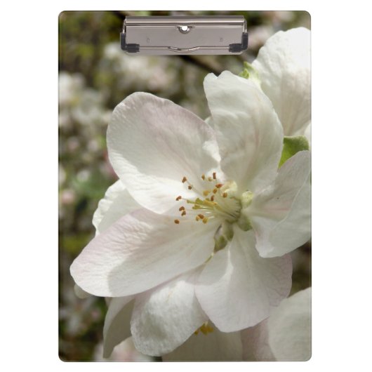 Porte-bloc Clipboard Apple Blossom (Devant)