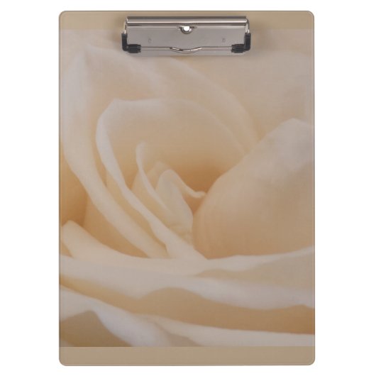 Porte-bloc Closeup Rose couleur crème (Devant)