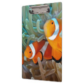Porte-bloc Clownfish (Gauche)