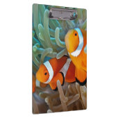 Porte-bloc Clownfish (Swatch)