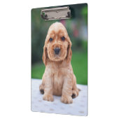 Porte-bloc Coker Spaniel (Gauche)