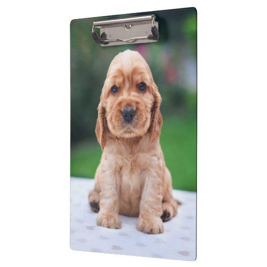 Porte-bloc Coker Spaniel (Gauche)