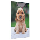Porte-bloc Coker Spaniel (Swatch)