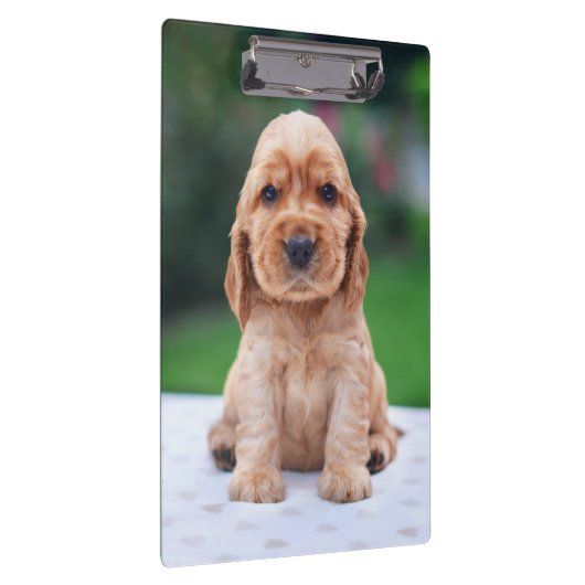 Porte-bloc Coker Spaniel (Swatch)