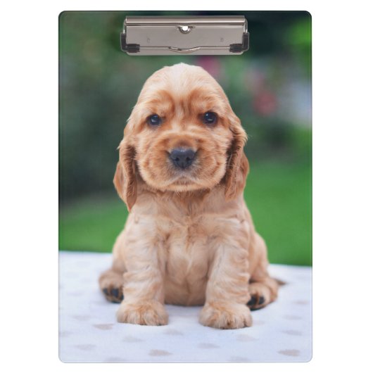 Porte-bloc Coker Spaniel (Devant)