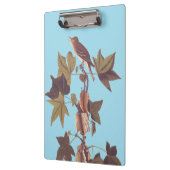 Porte-bloc Colibri Audubon Traill (Gauche)