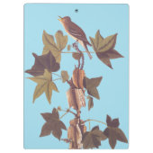 Porte-bloc Colibri Audubon Traill (Dos)