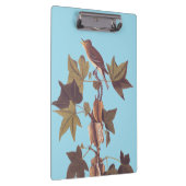 Porte-bloc Colibri Audubon Traill (Swatch)