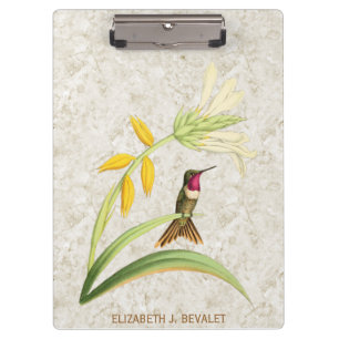 Porte-bloc Colibri en bois Throated magenta d'étoile
