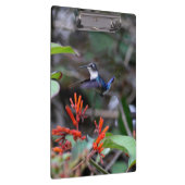 Porte-bloc Colibri en vol et fleurs rouges (Swatch)